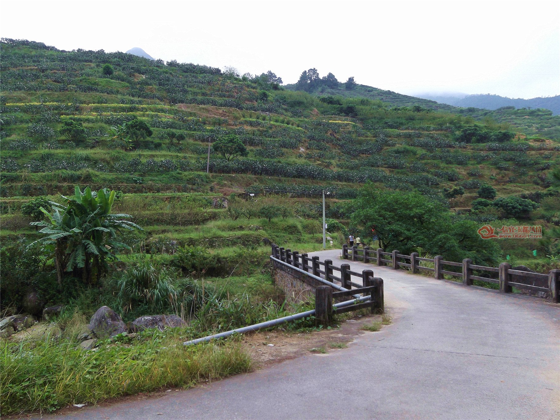 DSCF1084.jpg