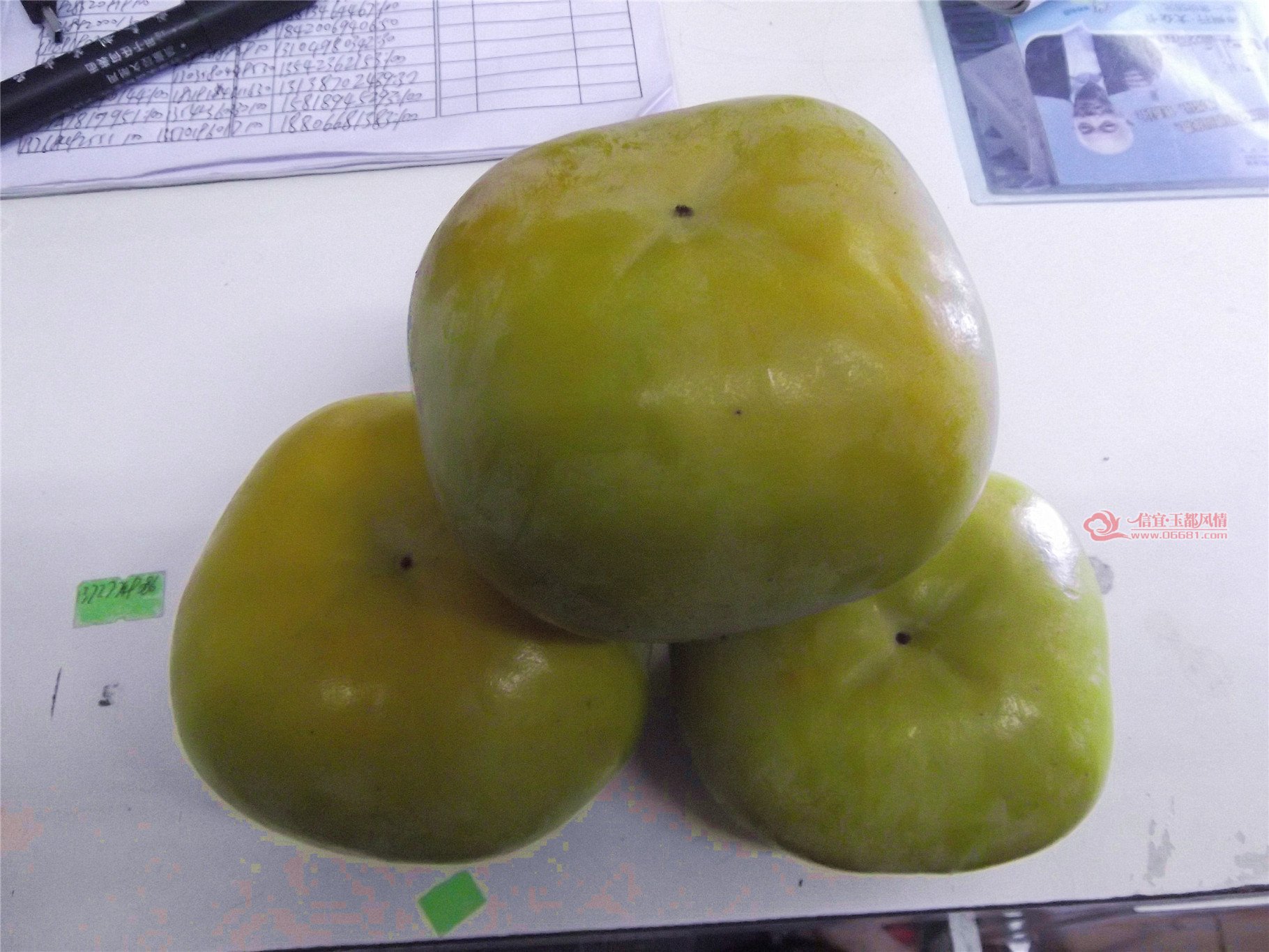 DSCF1110.jpg