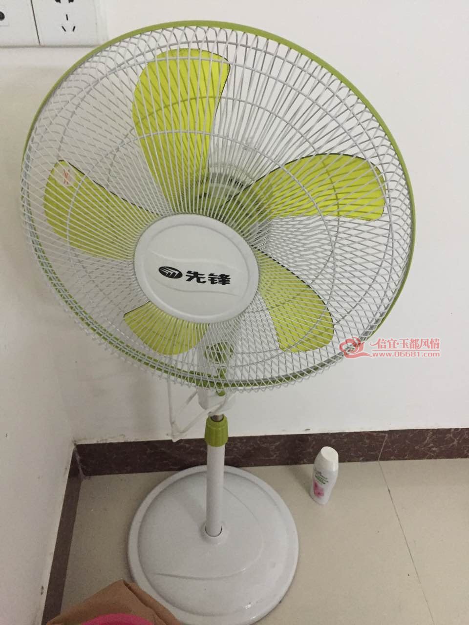 image.jpg