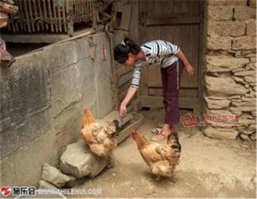 013_����.jpg