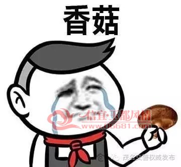 1.webp.jpg
