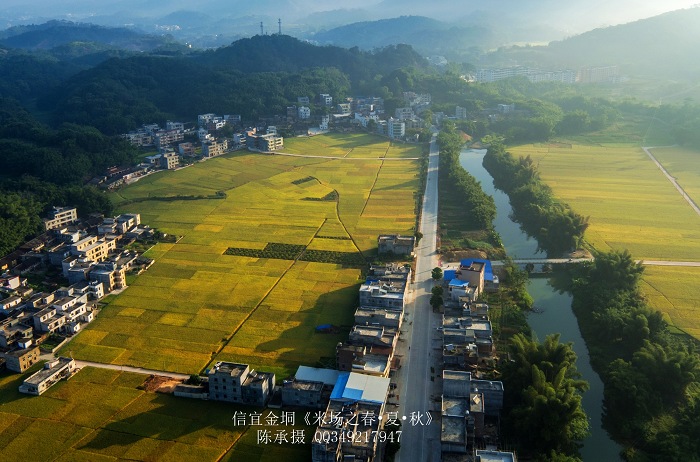 DJI_0229_nEO_IMG_nEO_IMG.jpg