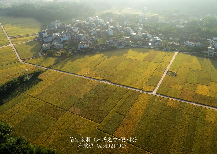DJI_0226_nEO_IMG_nEO_IMG.jpg