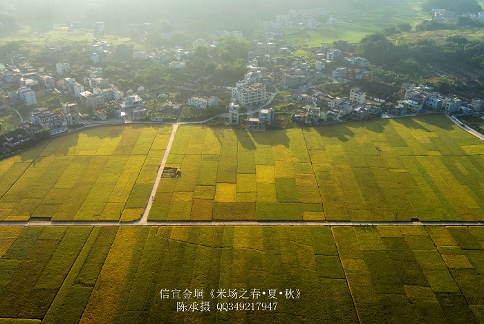 DJI_0224_nEO_IMG_nEO_IMG.jpg