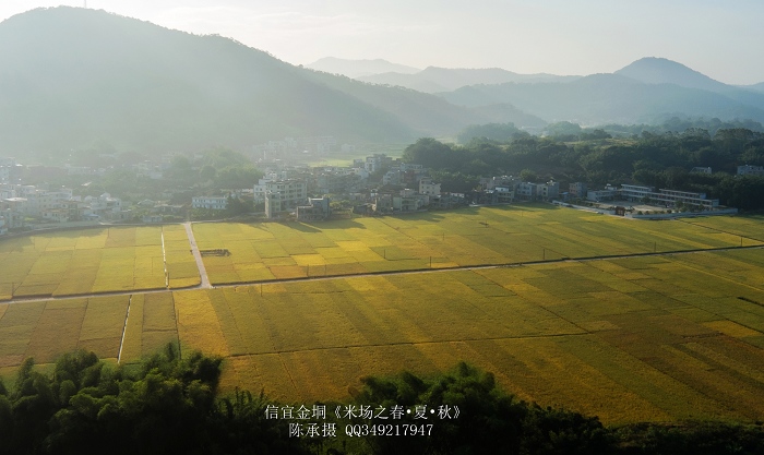 DJI_0235_nEO_IMG_nEO_IMG.jpg