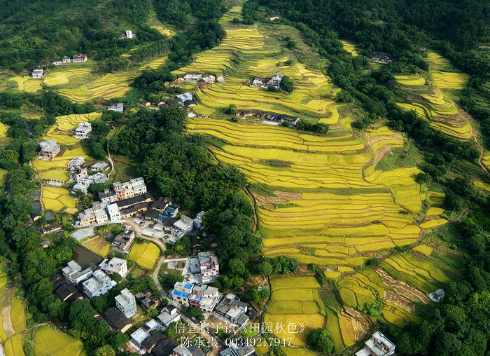 DJI_0136_nEO_IMG_nEO_IMG.jpg