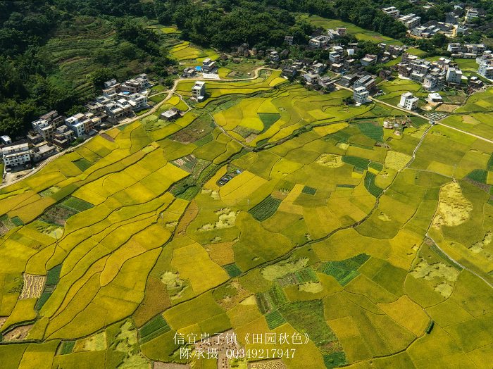 DJI_0332_nEO_IMG_nEO_IMG.jpg