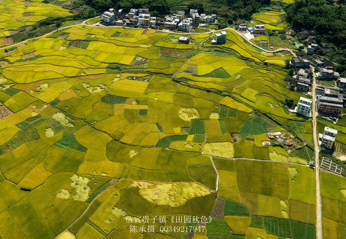 DJI_0341_nEO_IMG_nEO_IMG.jpg