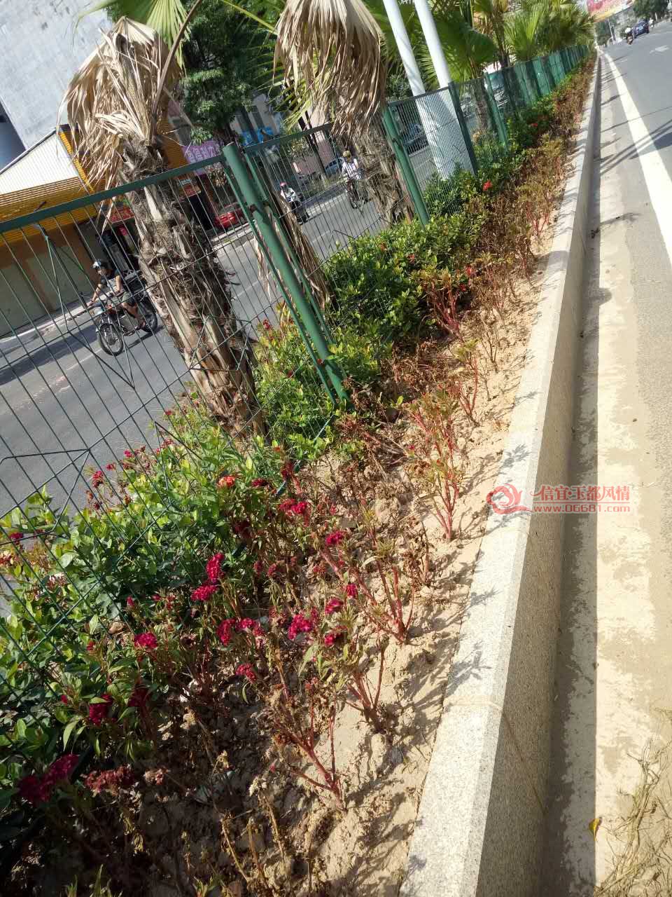 �����񶼷���_20161026_220141.jpg