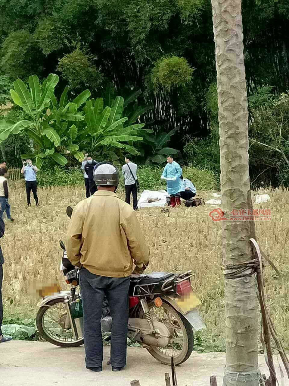 ������¡�¸ڴ�ʧ��С�к����ҵ�  �������˲���