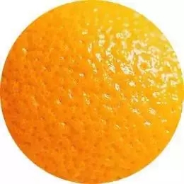 1.webp.jpg