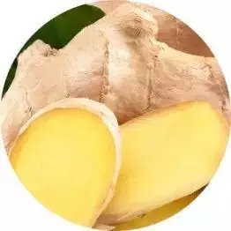 15.webp.jpg