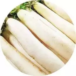 4.webp.jpg