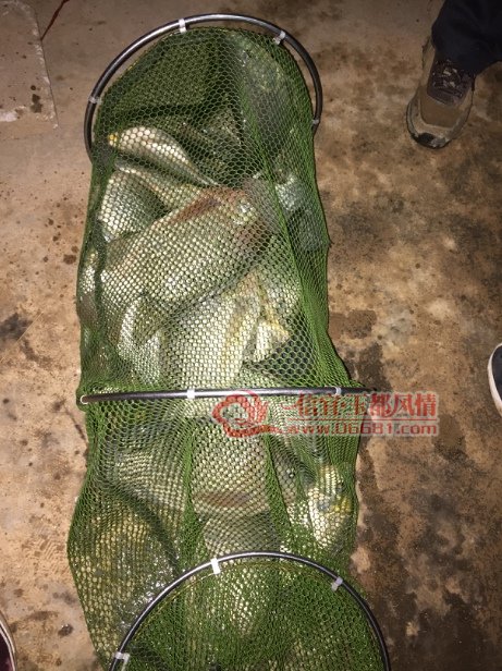 QQImage_11145148.jpg