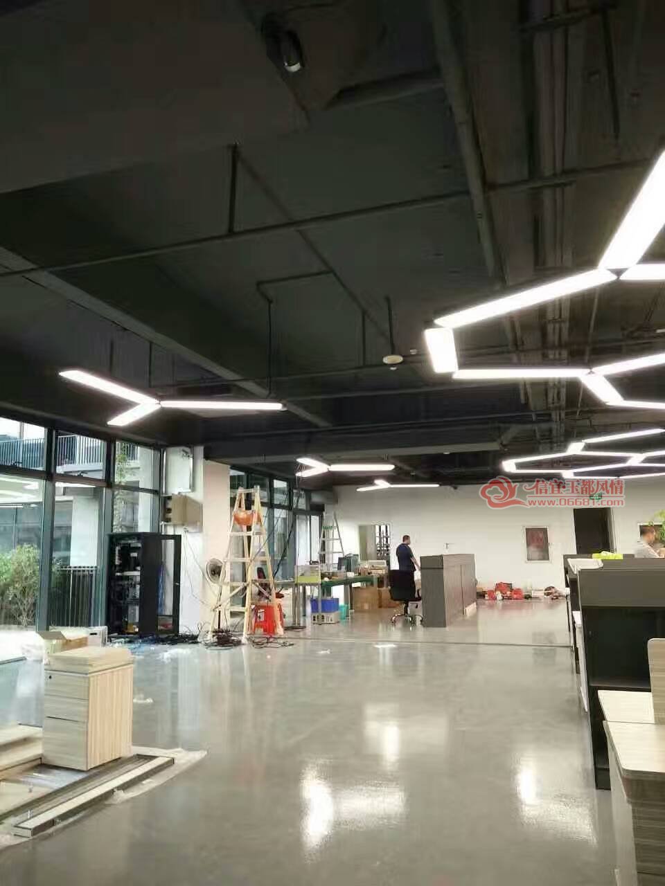 mmexport1483668528862.jpg