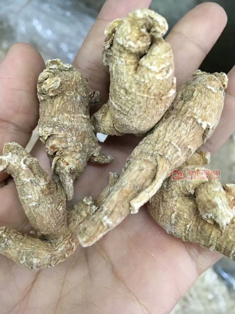 �����ͷֱ���ۣ�0.8Ԫһ��.jpg