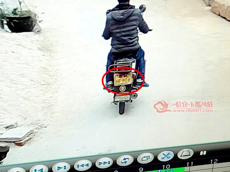 ��ŭ���������ˮ��һ��������13ֻ������͵��ȫ����