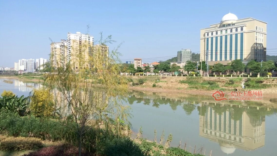 psb02081.jpg