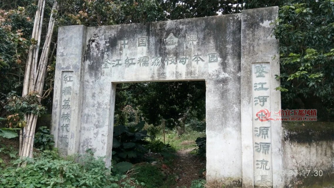 psb03313.jpg
