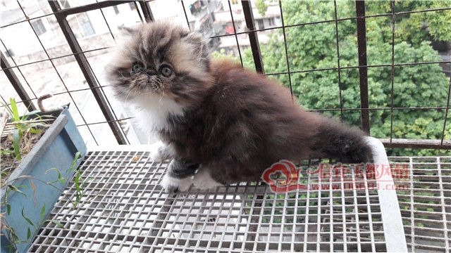 20170108_083438.jpg