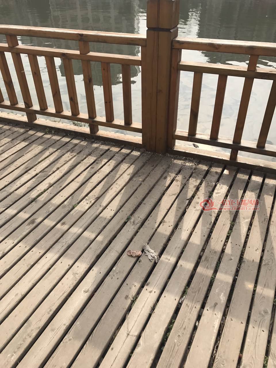 160515412715171800.jpg