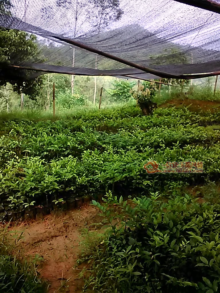 ��Ƭ 057.jpg