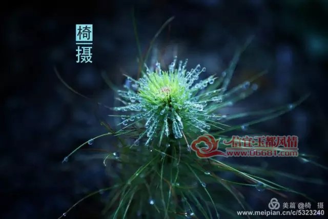 640.webp (12).jpg