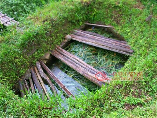 ��������Ƭ (5).jpg