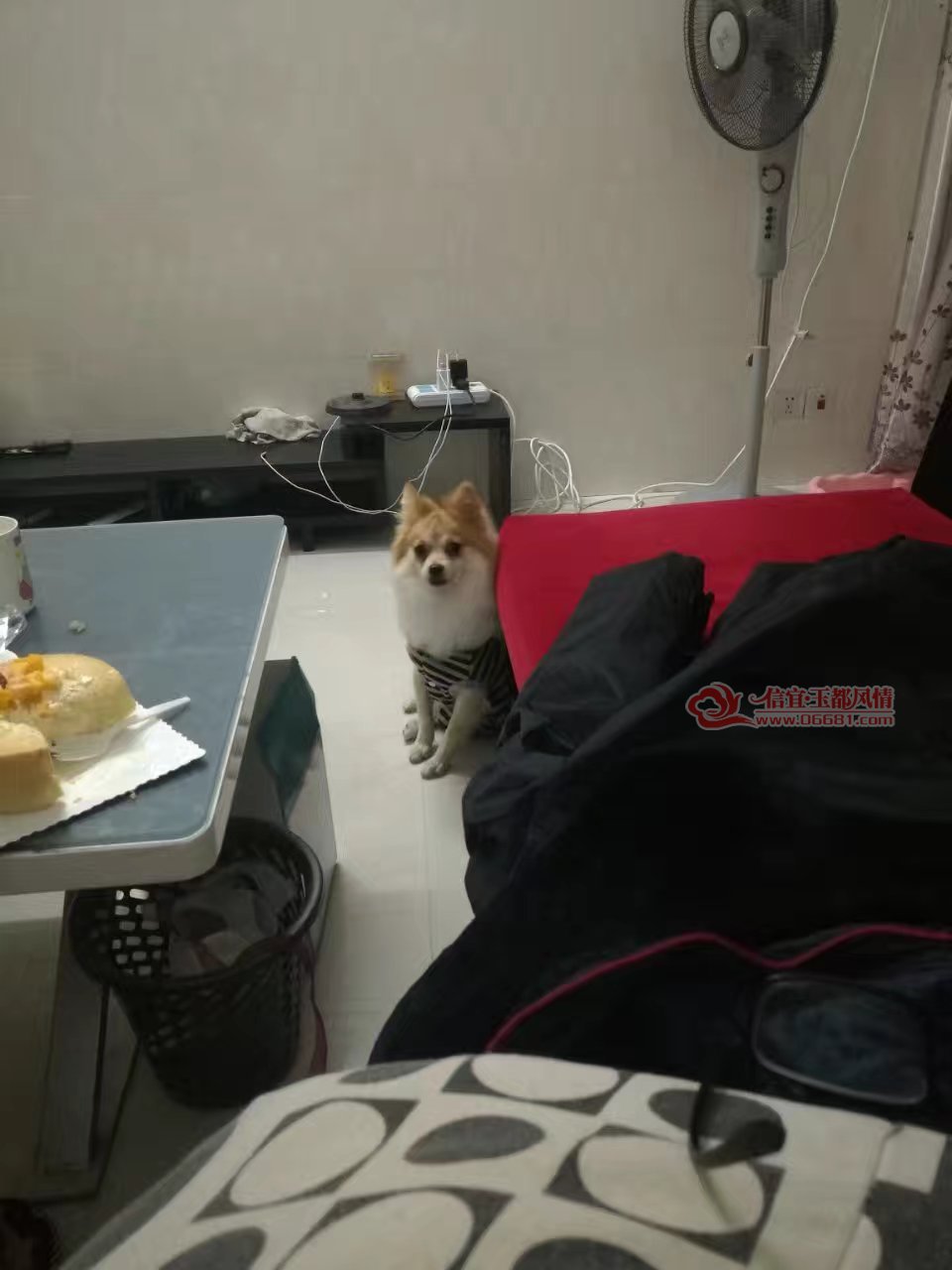 QQͼƬ20170309150404.jpg