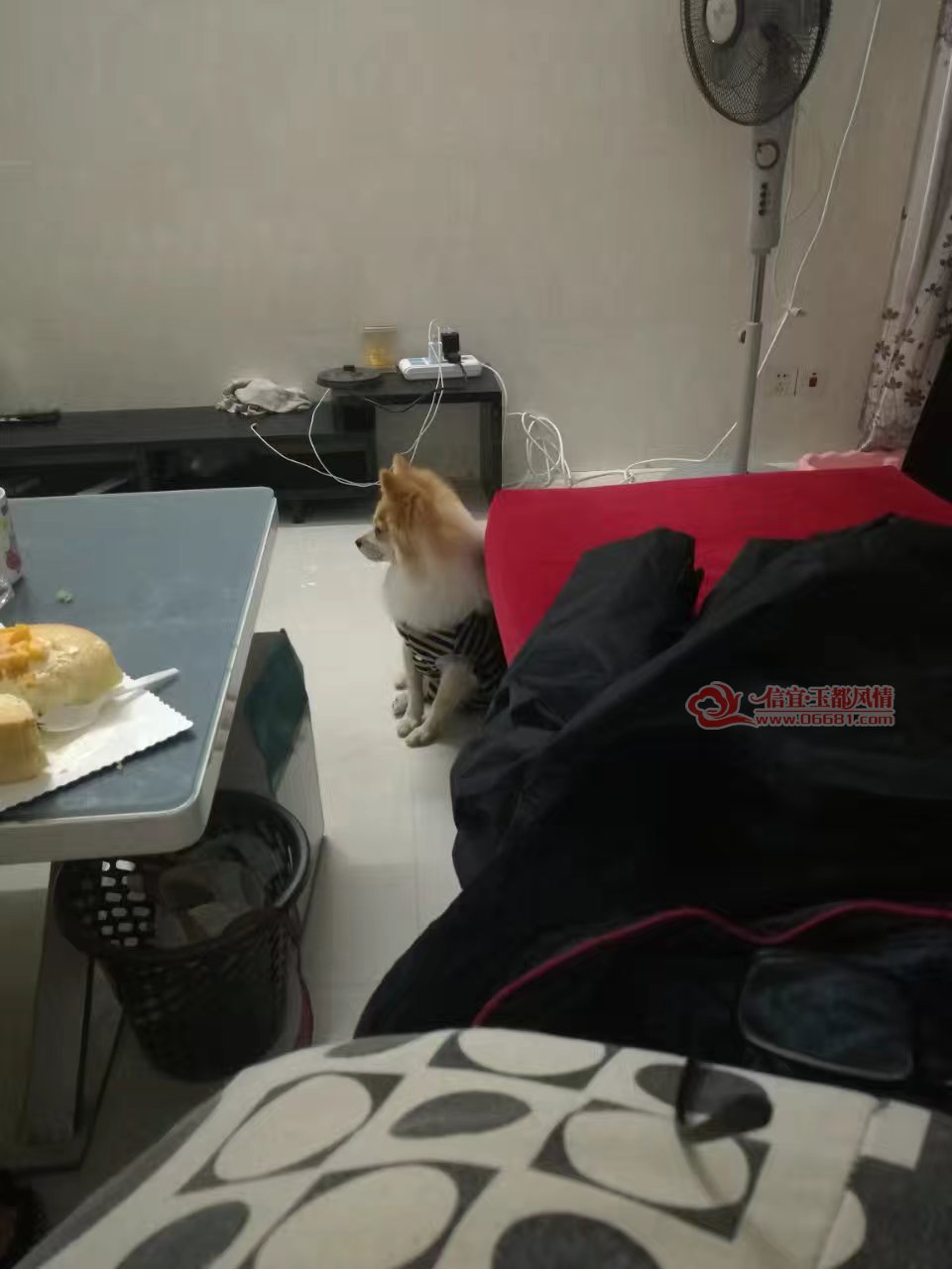 QQͼƬ20170309150359.jpg