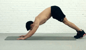 0 (3).gif