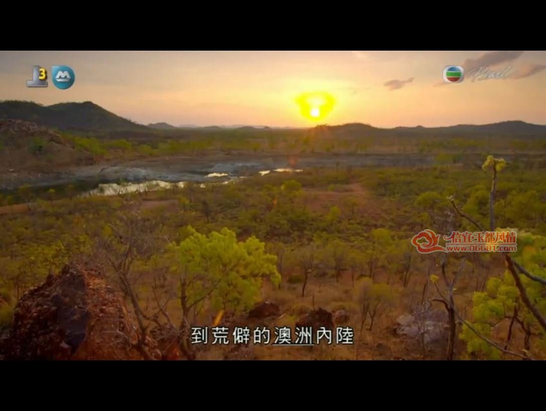 TVB����̨