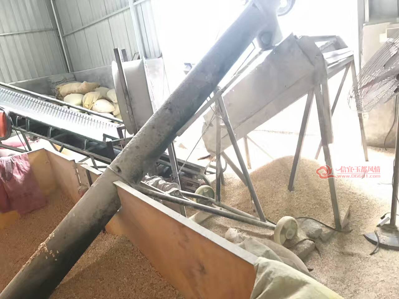 242710715817028711.jpg
