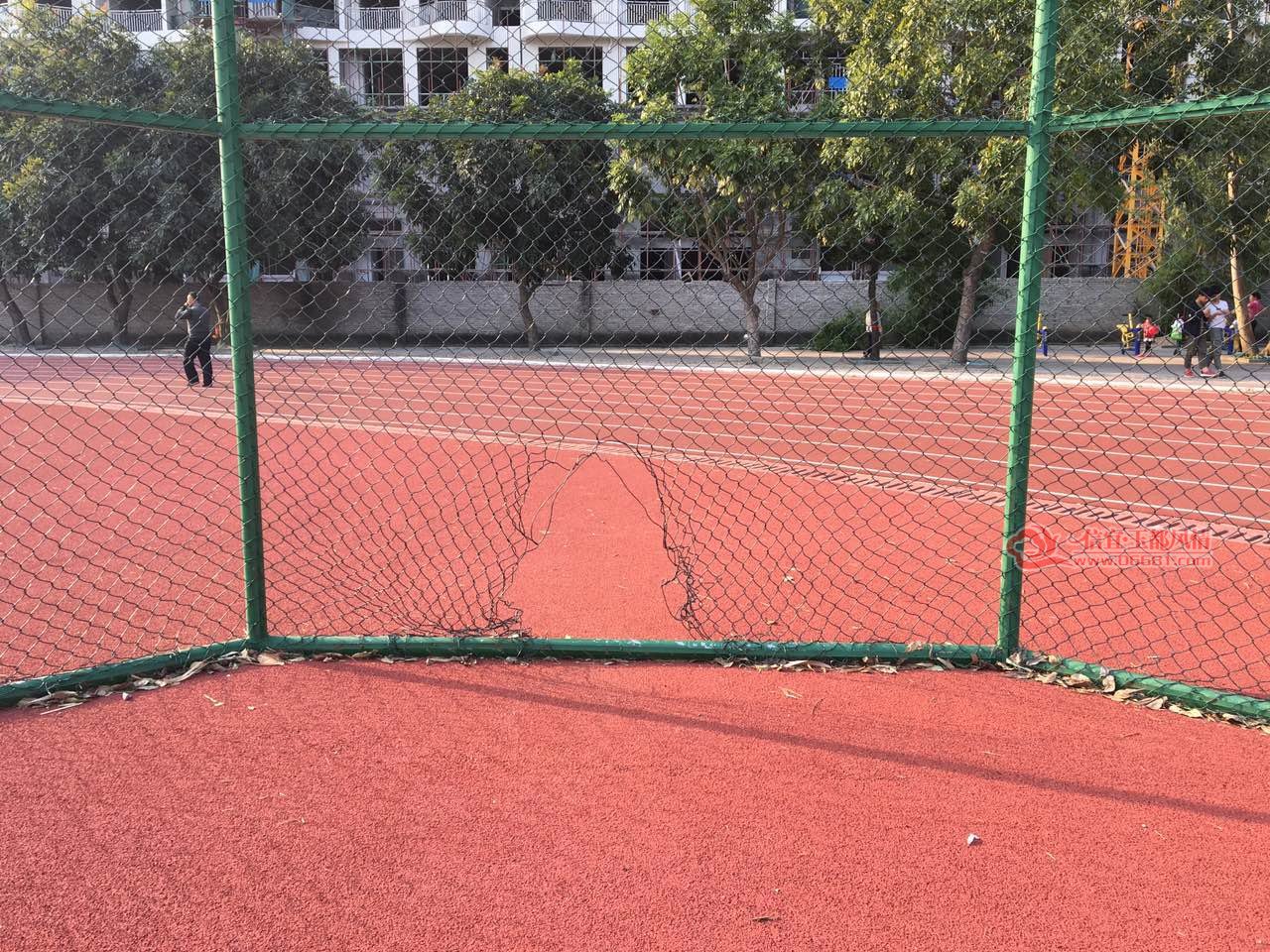 550905914027918243.jpg