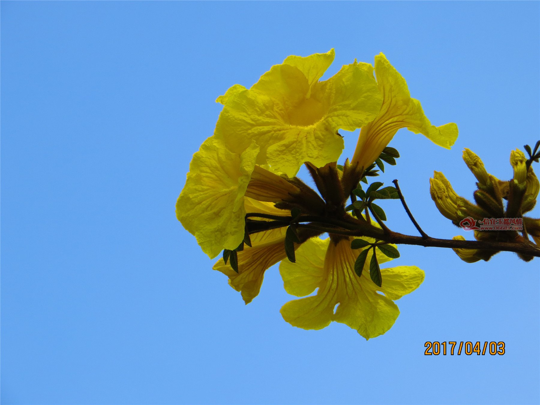 IMG_3645.jpg
