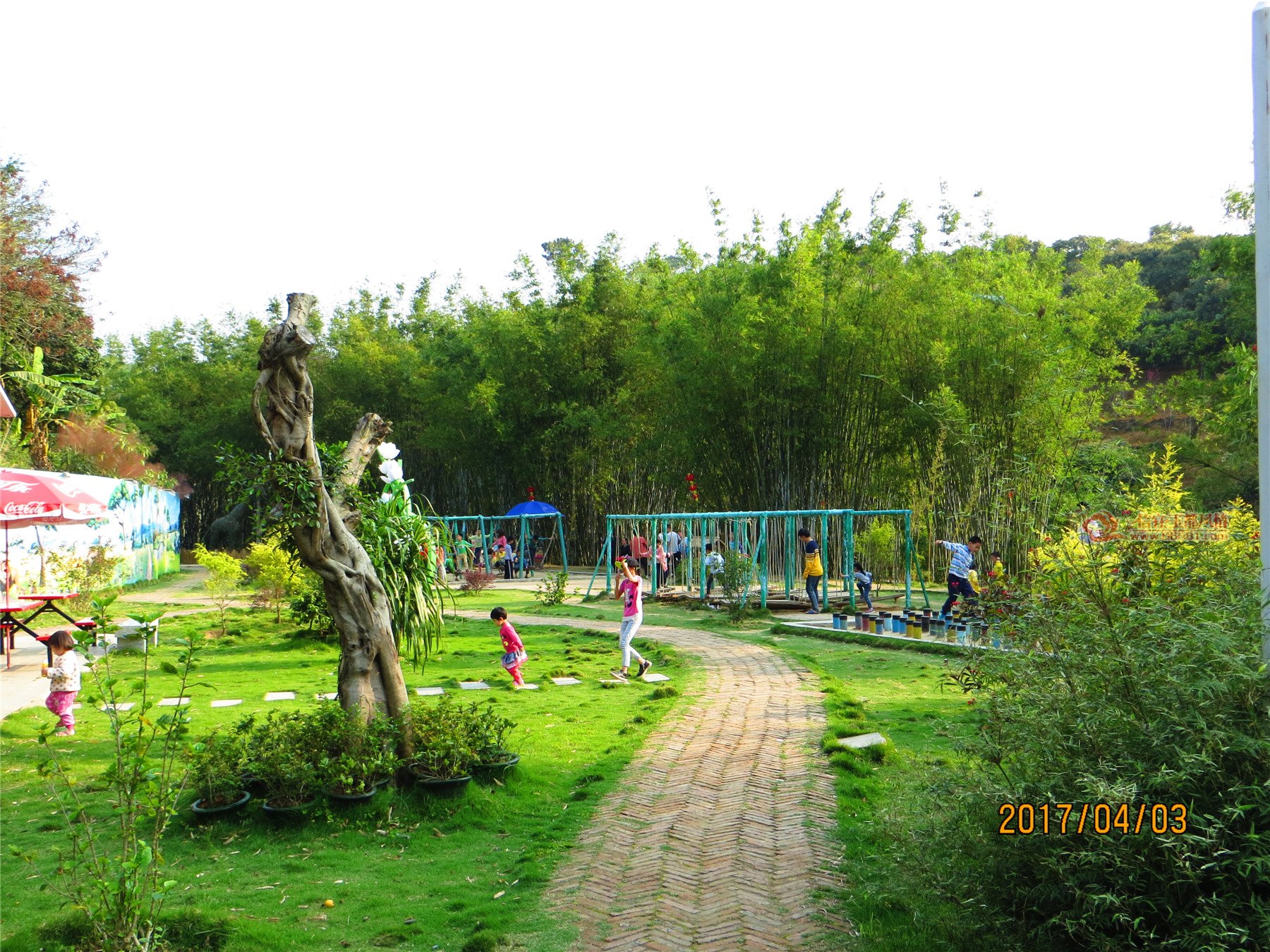 IMG_3674.jpg