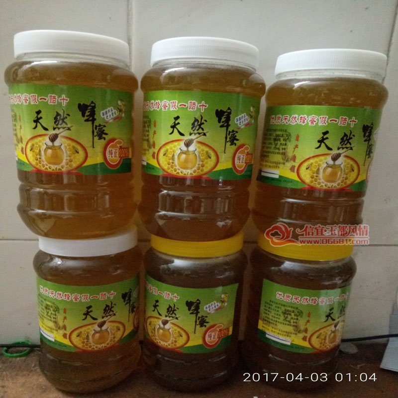 1P70403-010409.jpg