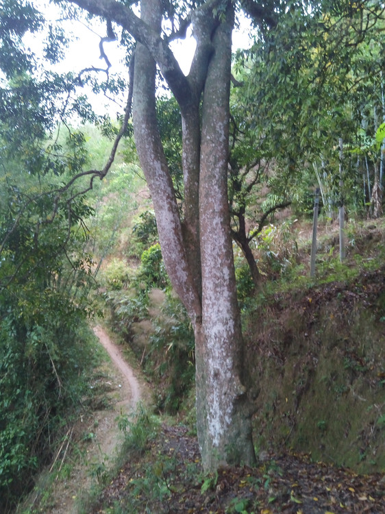 �߿�B6.jpg