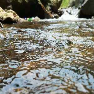 IMG_20170417_223538.jpg