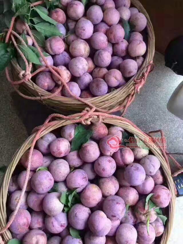 ΢��ͼƬ_20170507192458.jpg