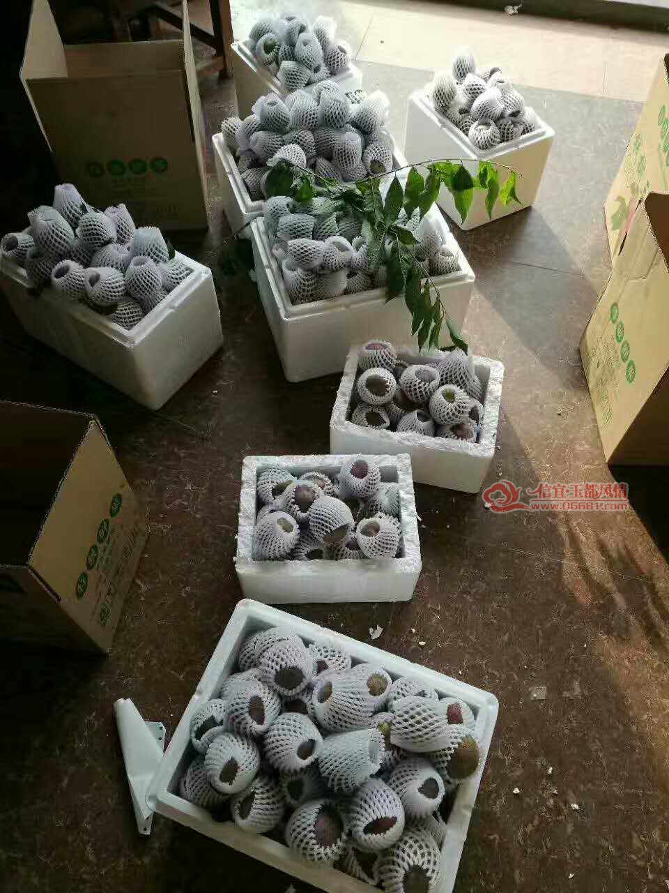 ΢��ͼƬ_20170507192519.jpg