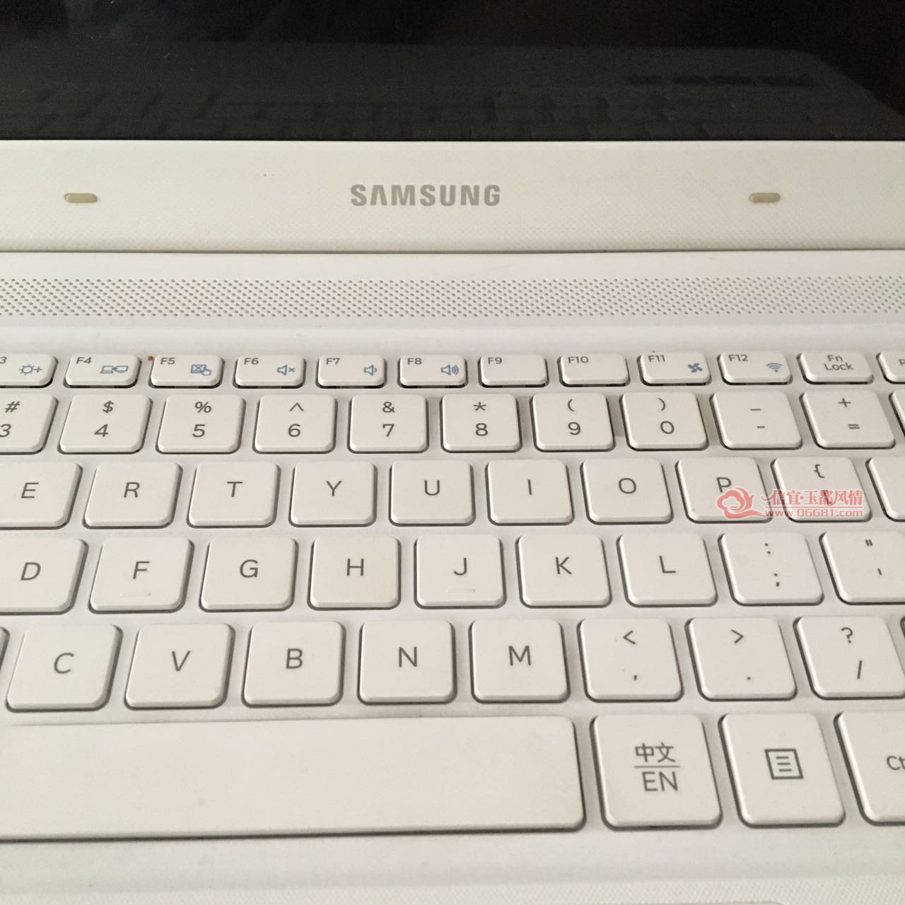 11449065953935987.jpg
