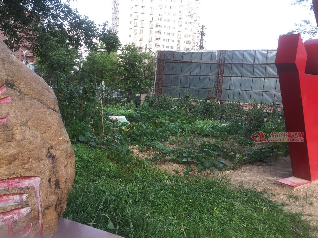 ΢��ͼƬ_20170531004630.jpg