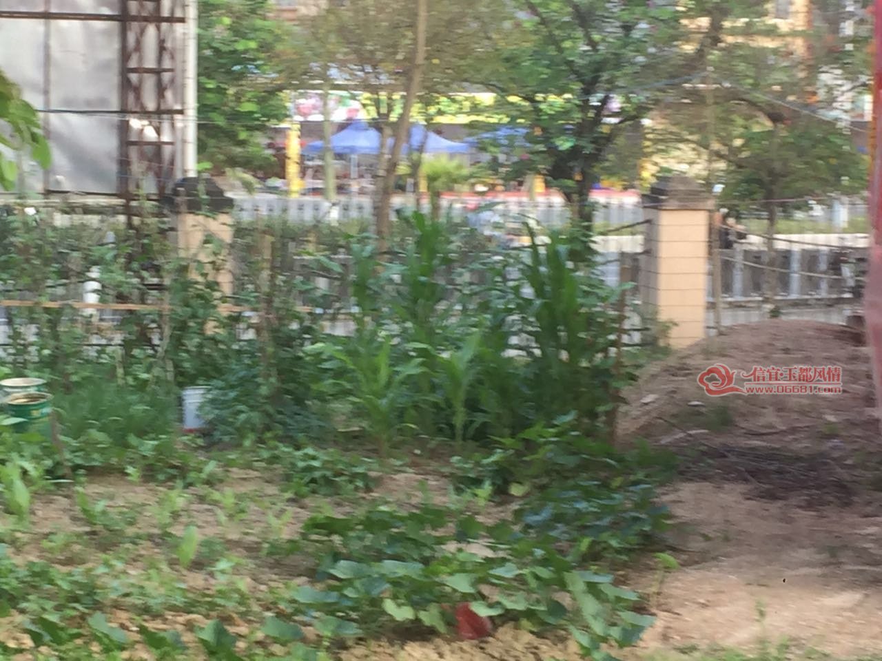 ΢��ͼƬ_20170531004626.jpg