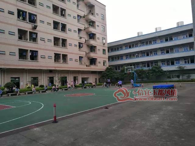 17.jpg