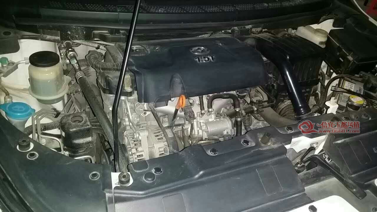 mmexport1497182828592.jpg