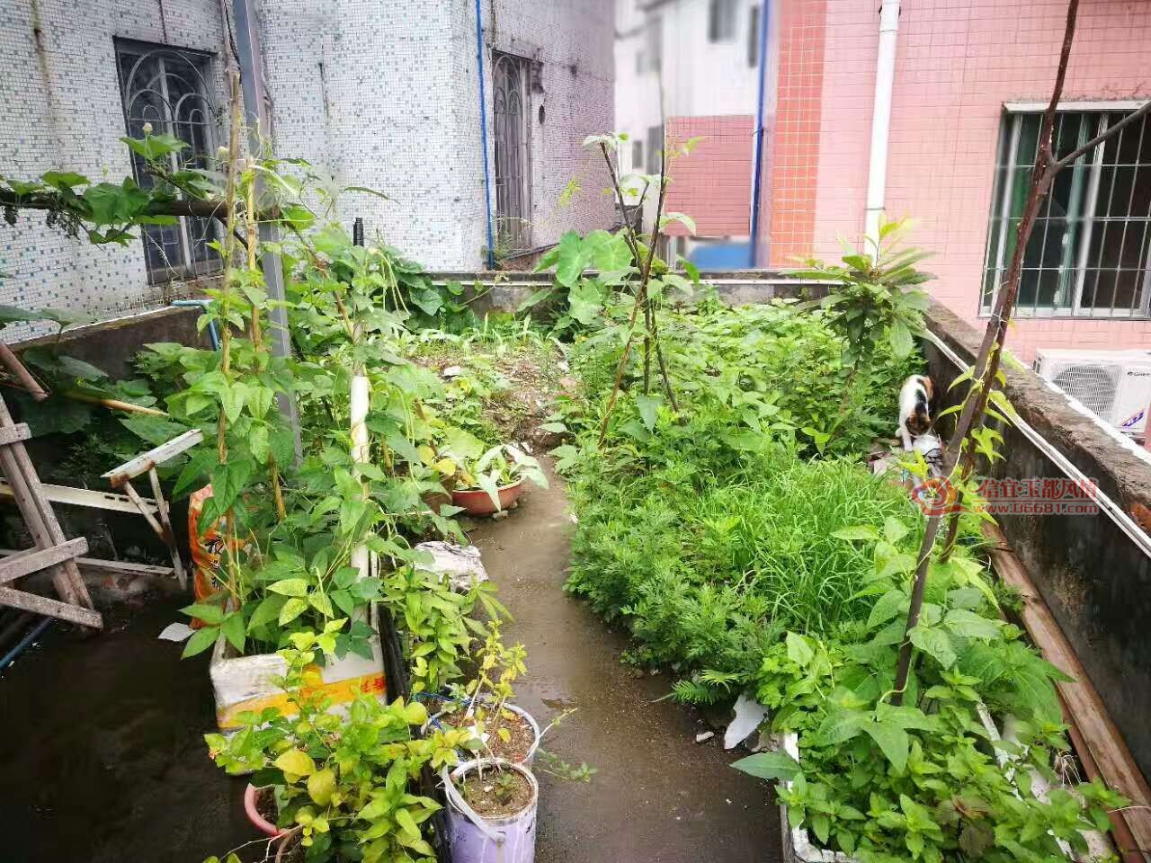 ΢��ͼƬ_20170629170143.jpg