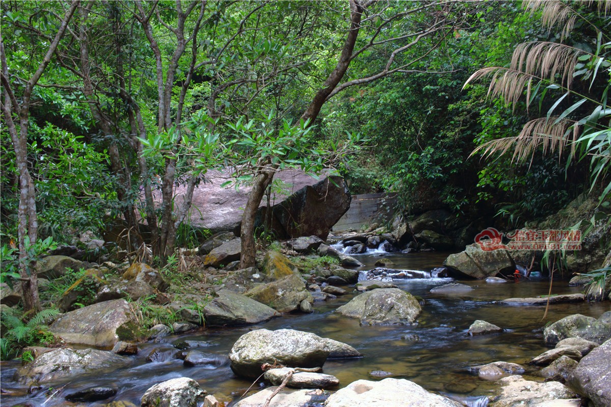 IMG_4031.jpg