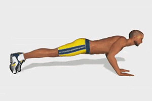 0 (4).gif