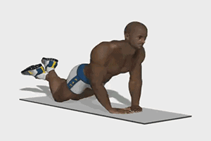 0 (9).gif